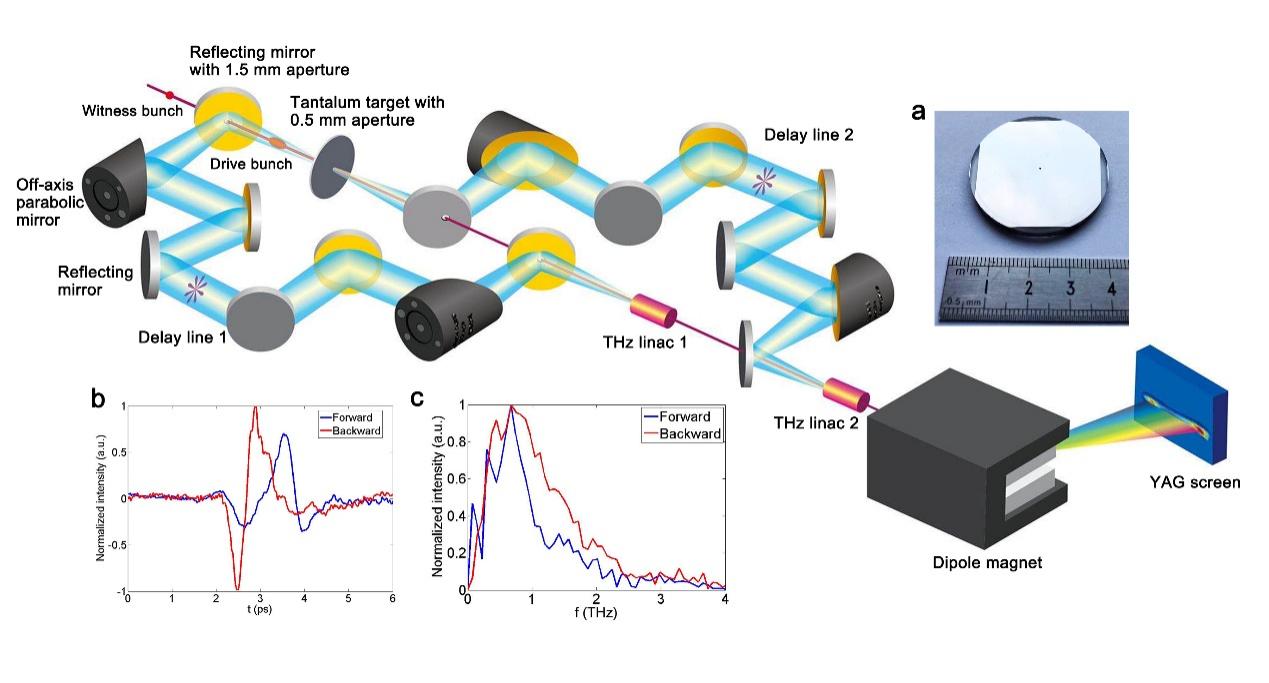 2025新澳门开门原料免费