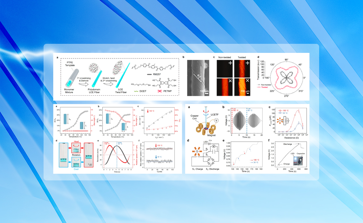2025新澳门开门原料免费