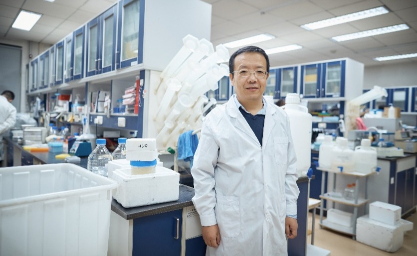 2025新澳门开门原料免费