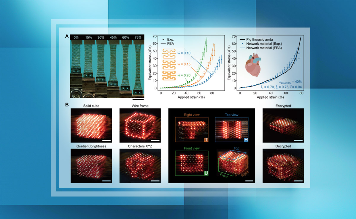 2025新澳门开门原料免费