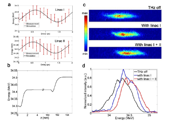 2025新澳门开门原料免费
