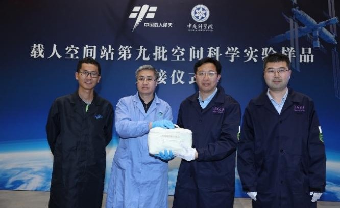 2025新澳门开门原料免费