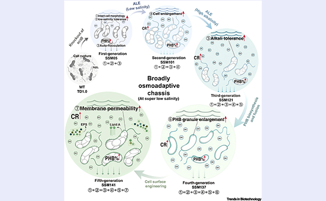 2025新澳门开门原料免费