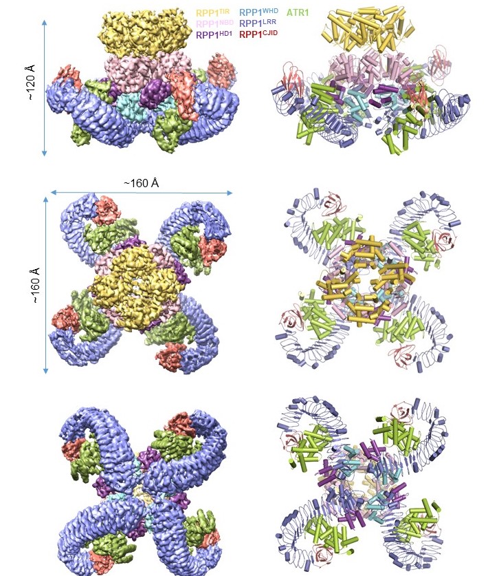 2025新澳门开门原料免费