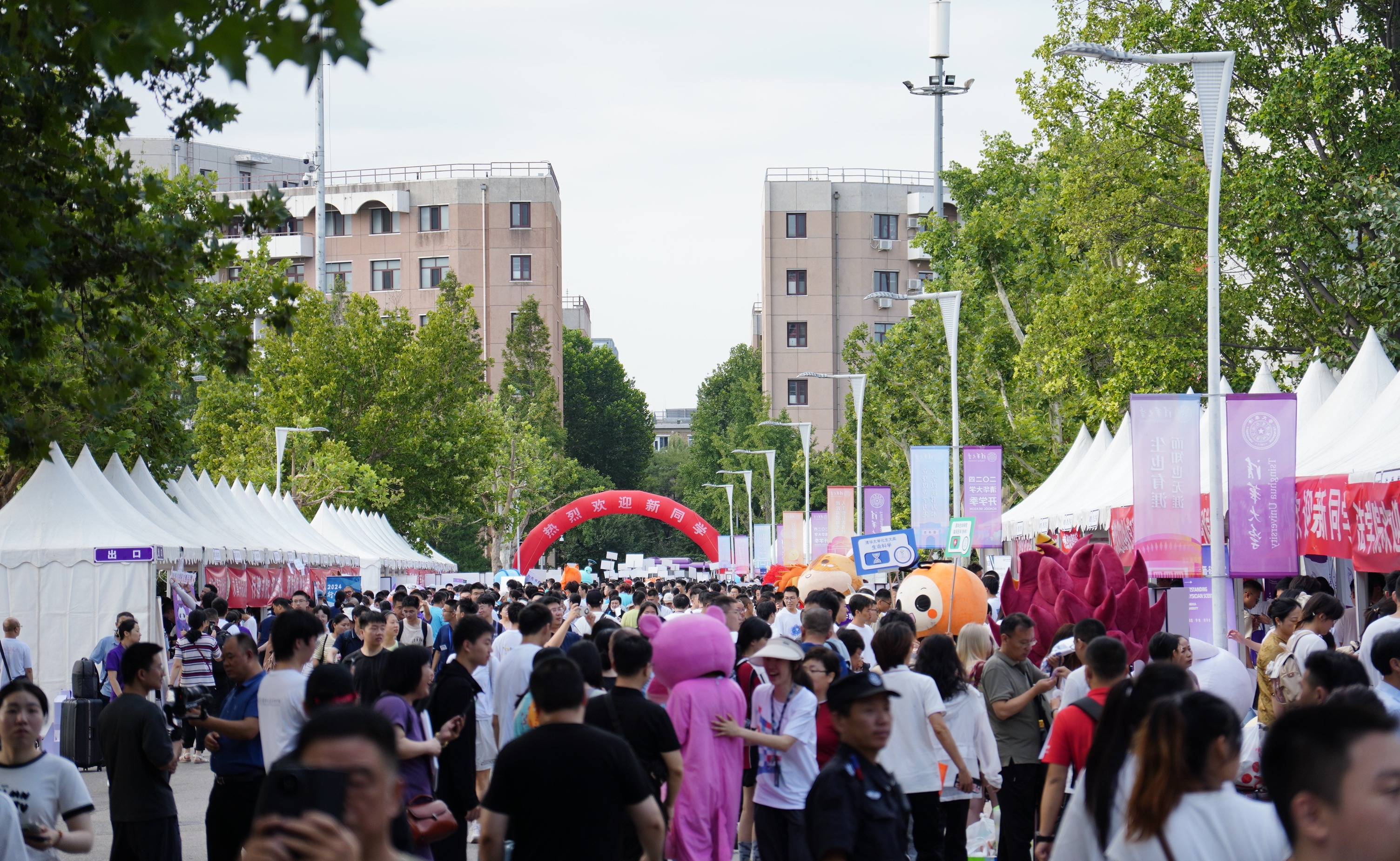 2025新澳门开门原料免费