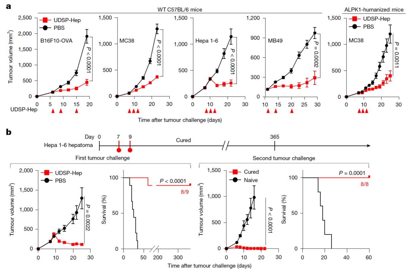 20251210-Nature-邵峰-3.ALPK1 激动剂UDSP-Hep抑制肿瘤生长并诱导产生免疫记忆.JPG