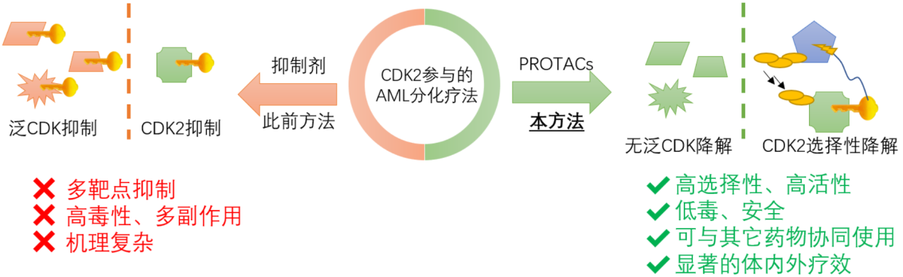 2025新澳门开门原料免费