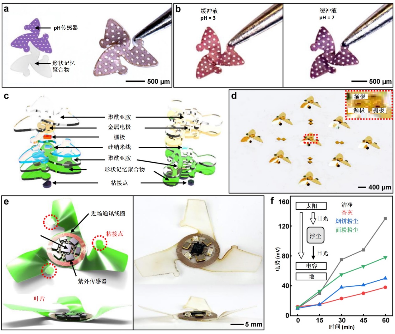 2025新澳门开门原料免费