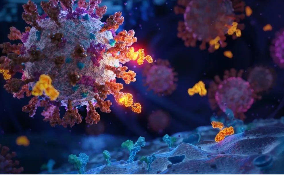 2025新澳门开门原料免费