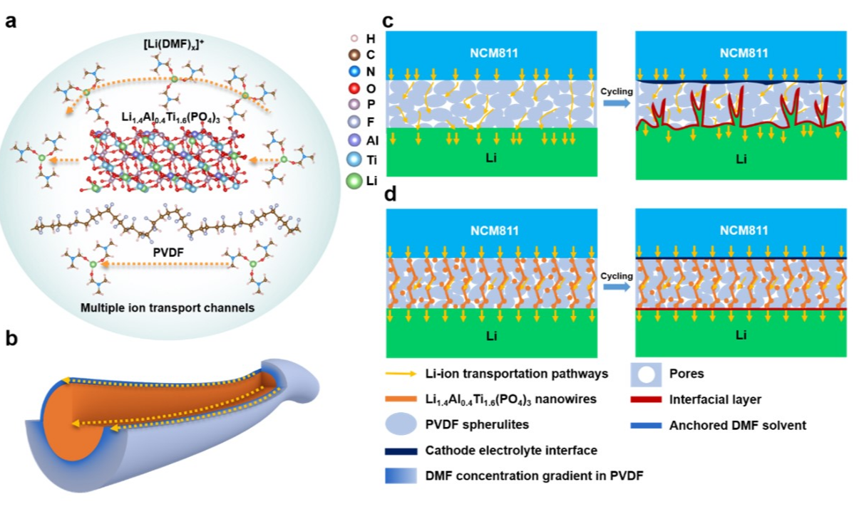 2025新澳门开门原料免费