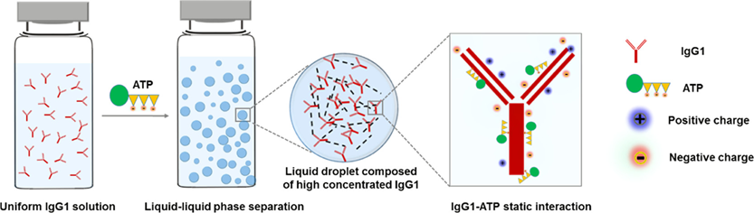 2025新澳门开门原料免费