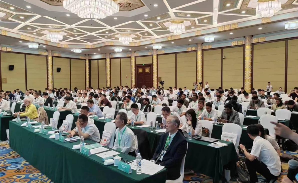 2025新澳门开门原料免费