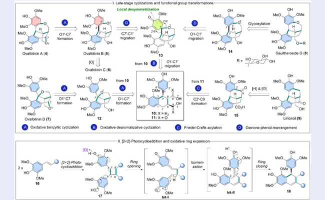 2025新澳门开门原料免费