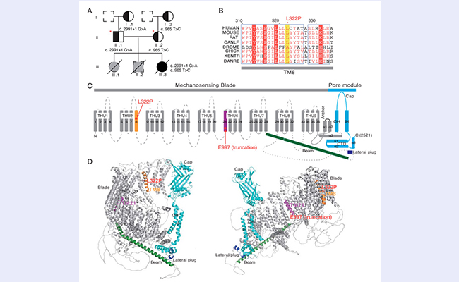 2025新澳门开门原料免费