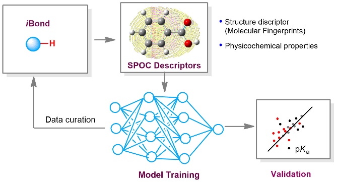 2025新澳门开门原料免费