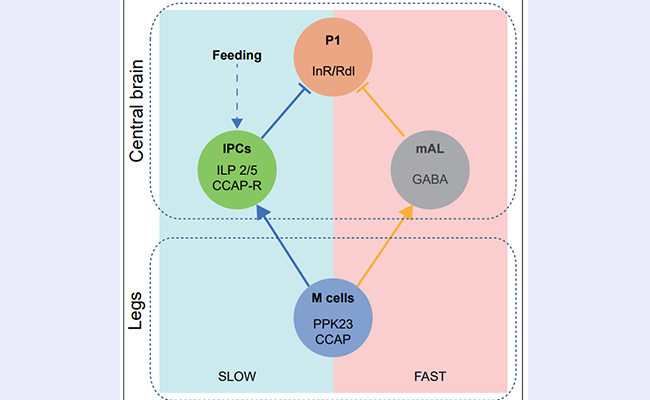 2025新澳门开门原料免费