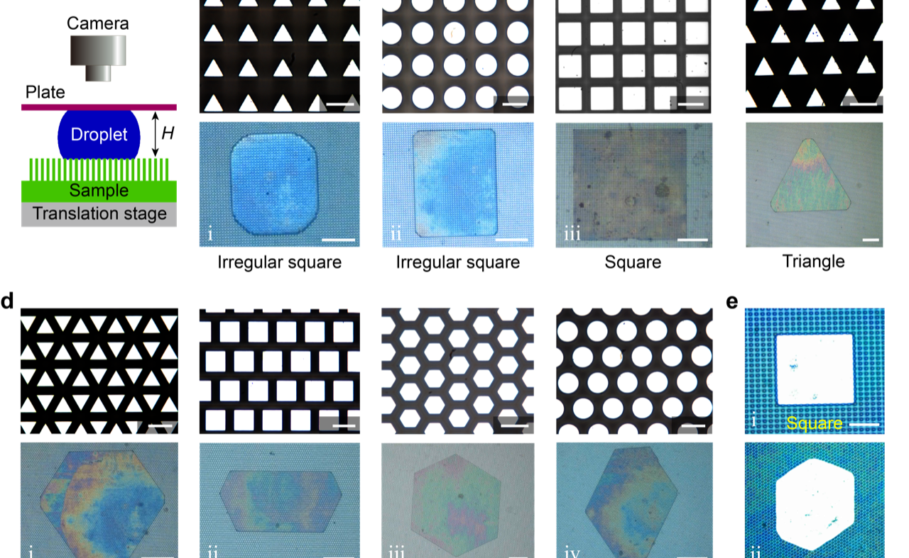 2025新澳门开门原料免费