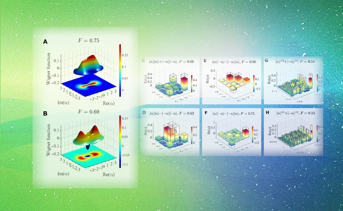 2025新澳门开门原料免费