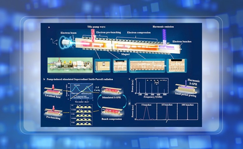 2025新澳门开门原料免费