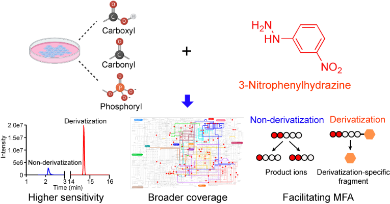 2025新澳门开门原料免费