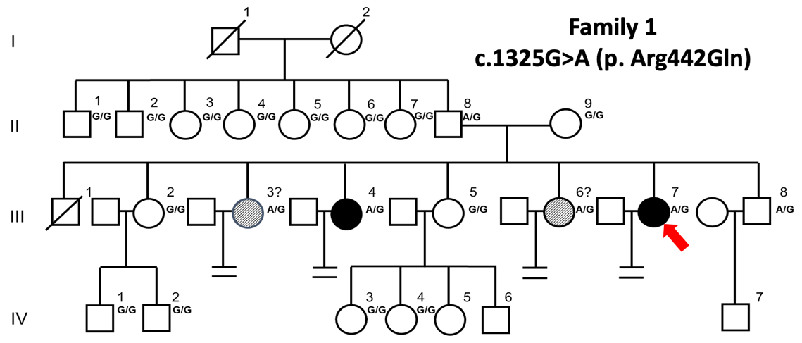 2025新澳门开门原料免费