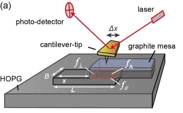 2025新澳门开门原料免费