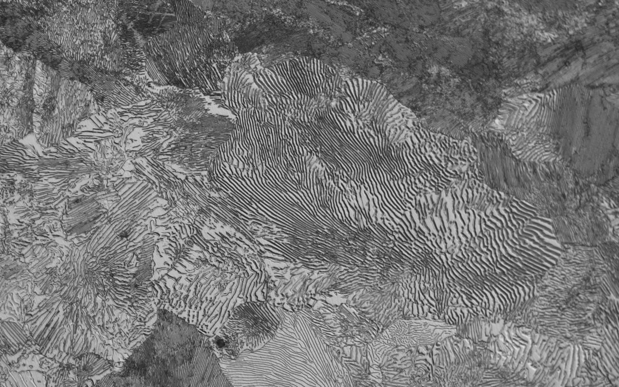 2025新澳门开门原料免费