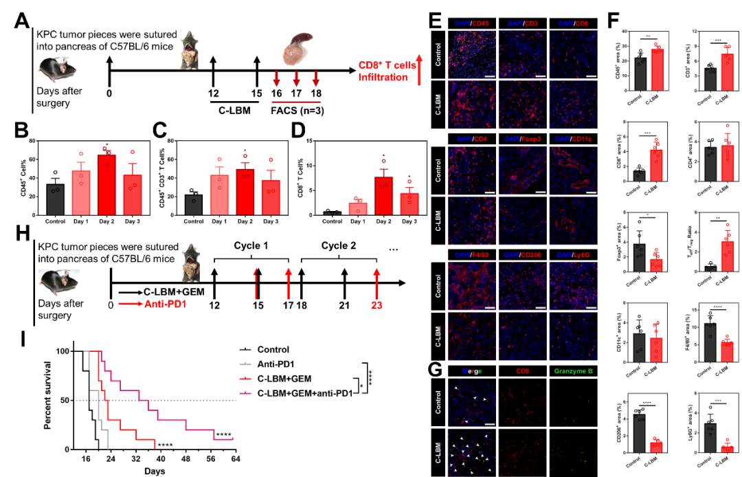 2025新澳门开门原料免费