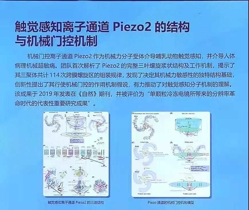 2025新澳门开门原料免费