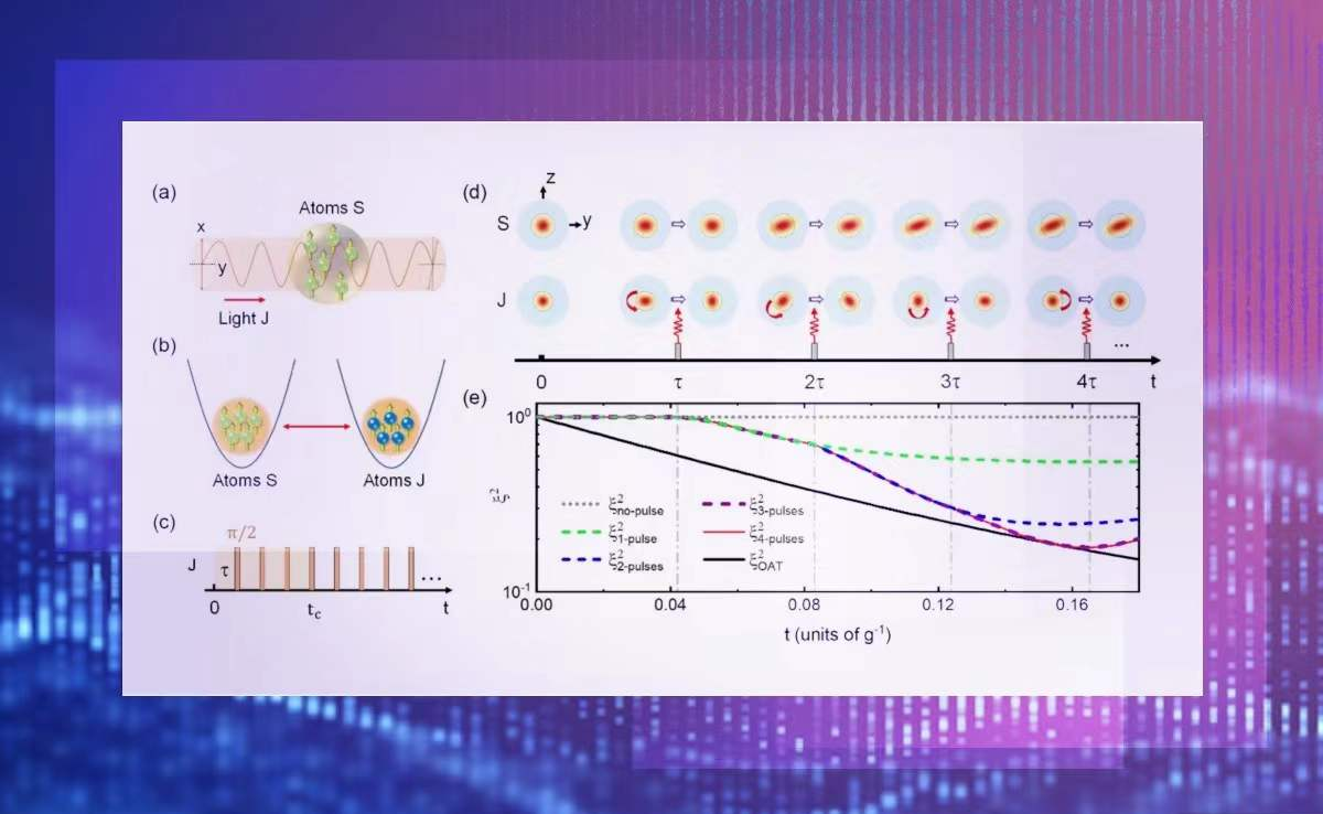 2025新澳门开门原料免费