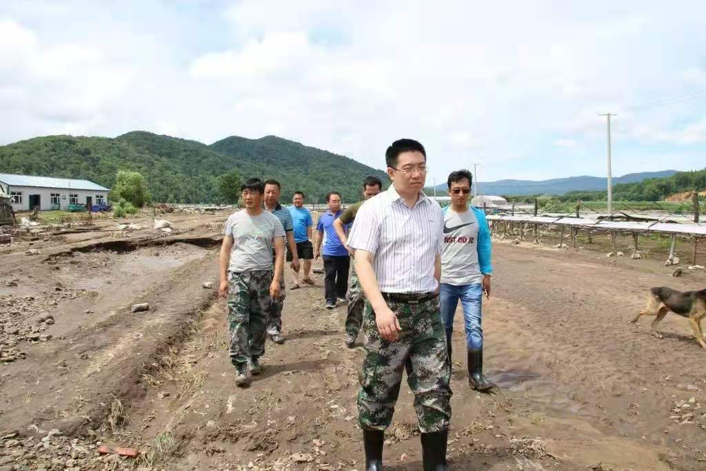 2025新澳门开门原料免费
