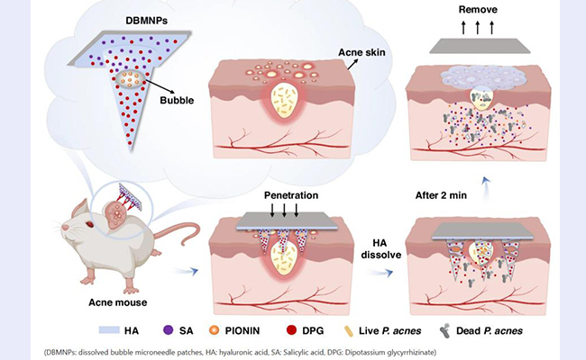 2025新澳门开门原料免费
