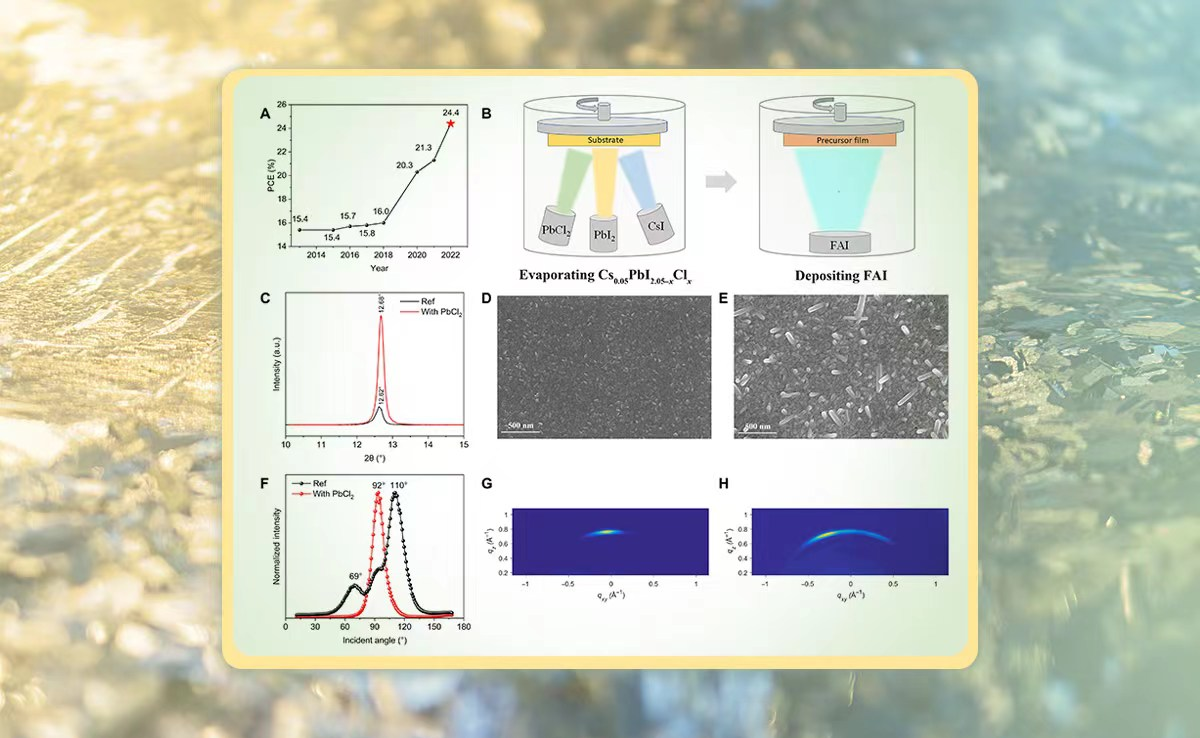 2025新澳门开门原料免费