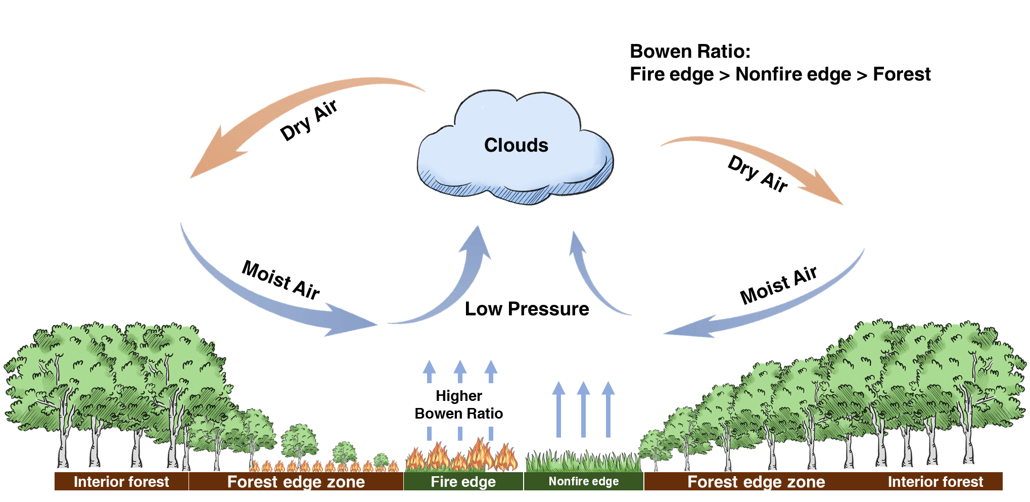 2025新澳门开门原料免费