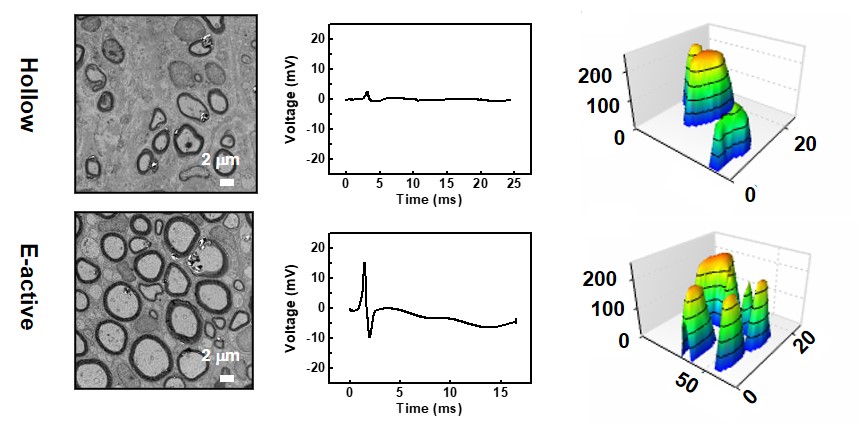 2025新澳门开门原料免费