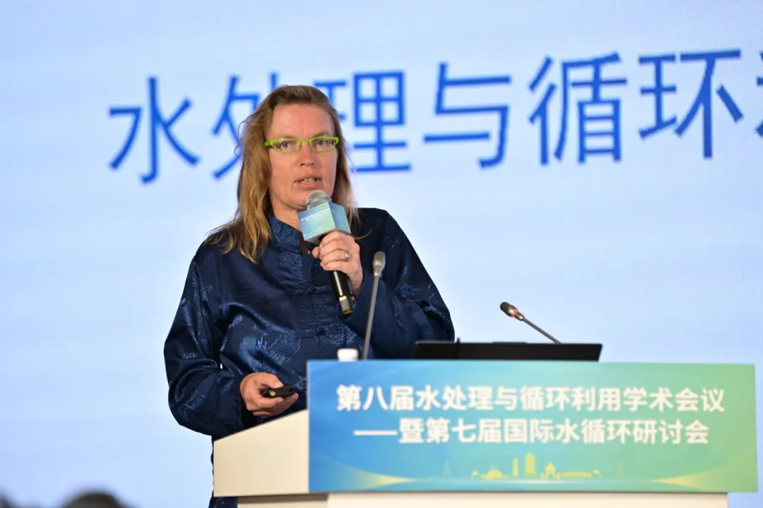 2025新澳门开门原料免费