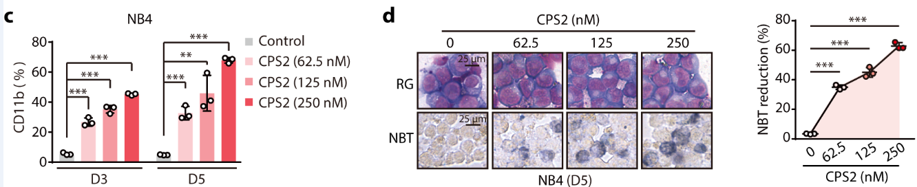 2025新澳门开门原料免费