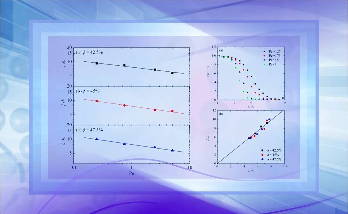 2025新澳门开门原料免费