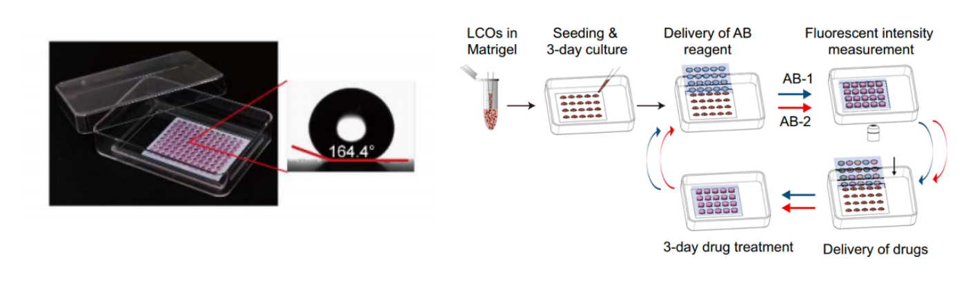 2025新澳门开门原料免费
