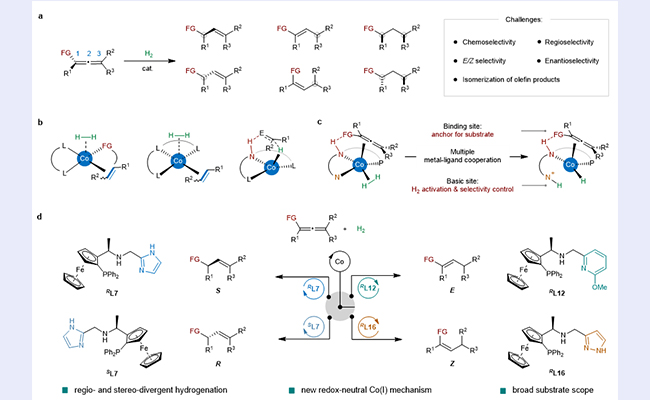 2025新澳门开门原料免费