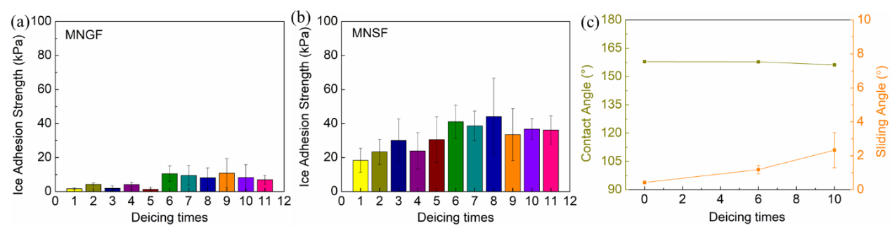 2025新澳门开门原料免费