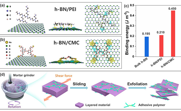 2025新澳门开门原料免费