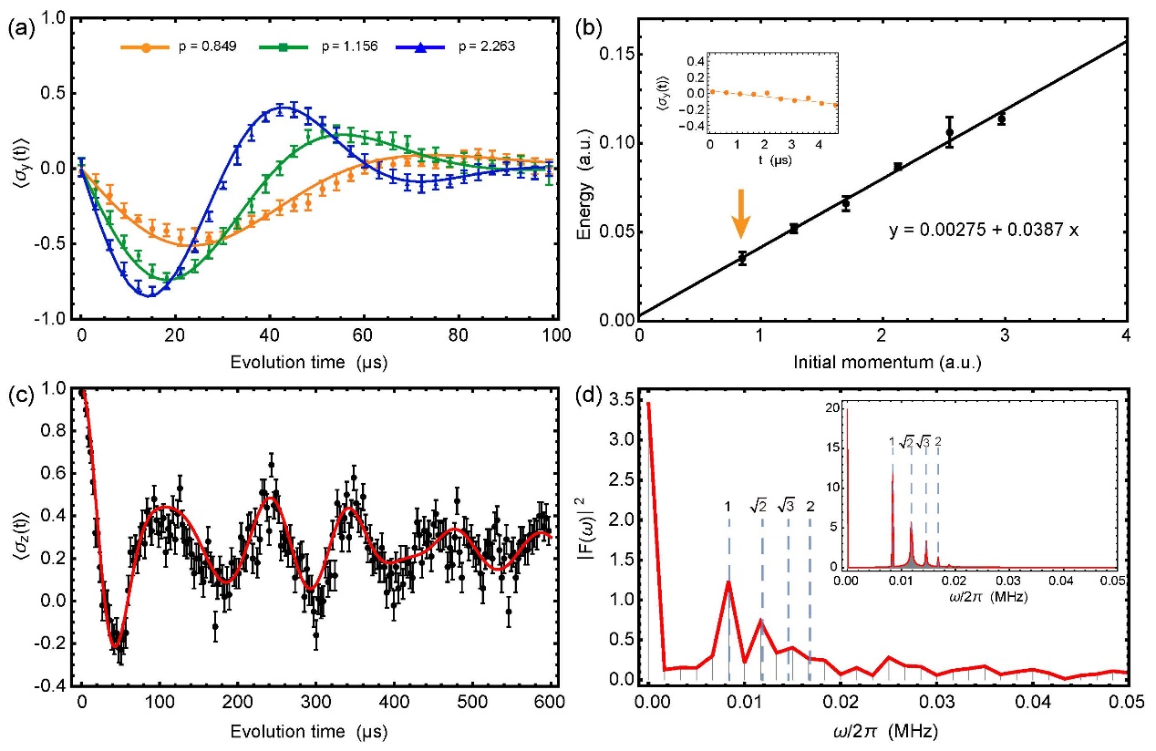 2025新澳门开门原料免费