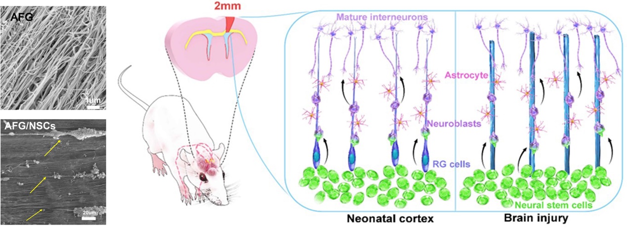 2025新澳门开门原料免费