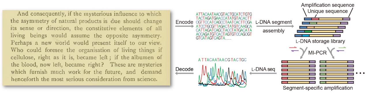 2025新澳门开门原料免费