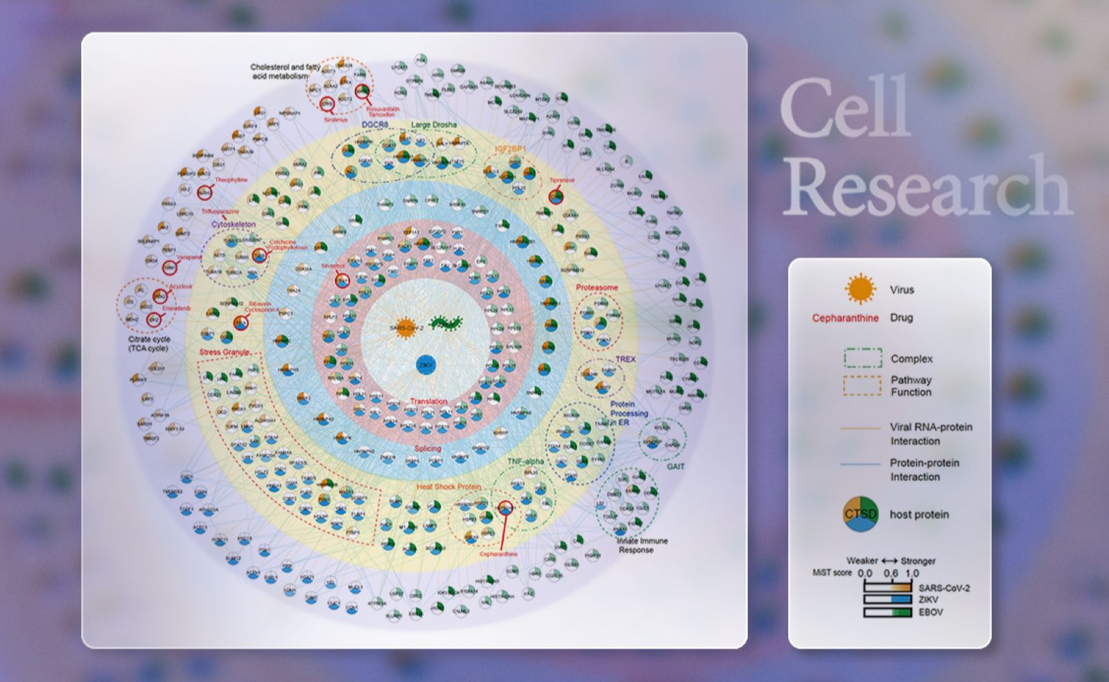 2025新澳门开门原料免费
