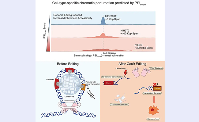 2025新澳门开门原料免费