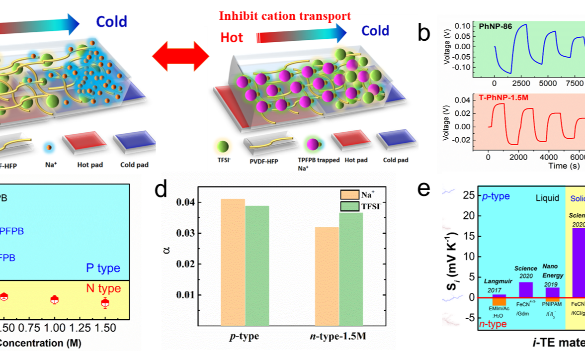2025新澳门开门原料免费