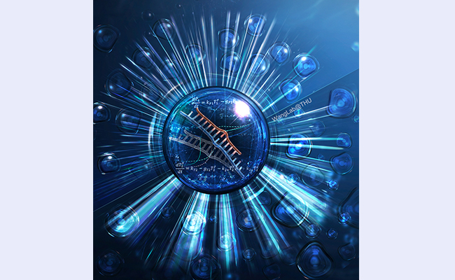 2025新澳门开门原料免费