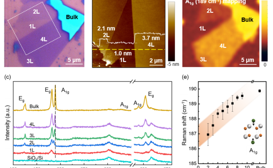 2025新澳门开门原料免费